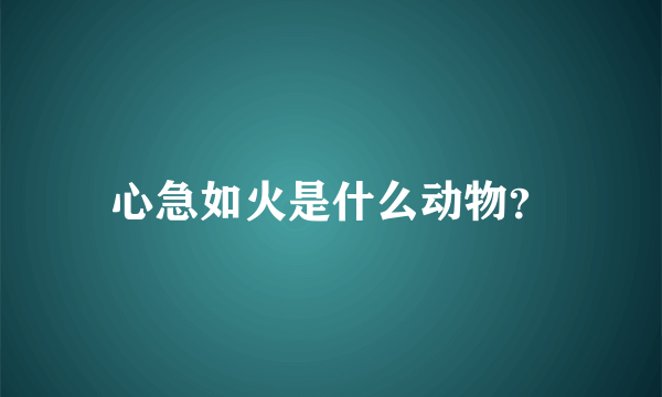 心急如火是什么动物？