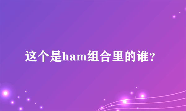 这个是ham组合里的谁？