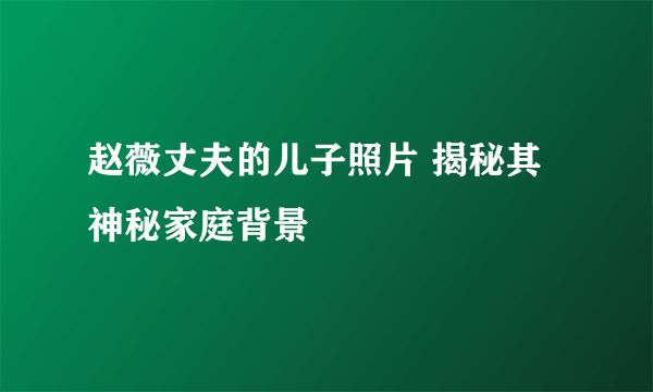 赵薇丈夫的儿子照片 揭秘其神秘家庭背景