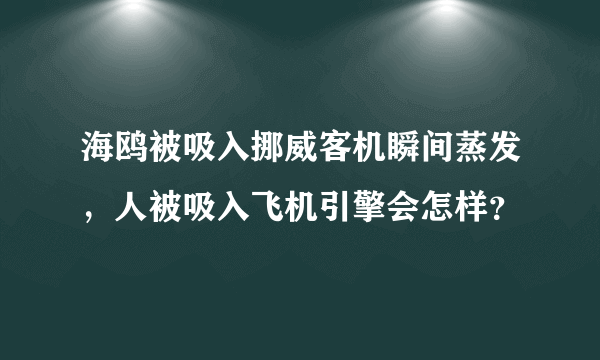 海鸥被吸入挪威客机瞬间蒸发，人被吸入飞机引擎会怎样？