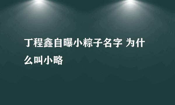 丁程鑫自曝小粽子名字 为什么叫小略