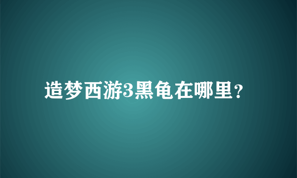 造梦西游3黑龟在哪里？