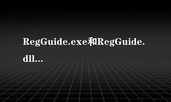 RegGuide.exe和RegGuide.dll有什么区别？