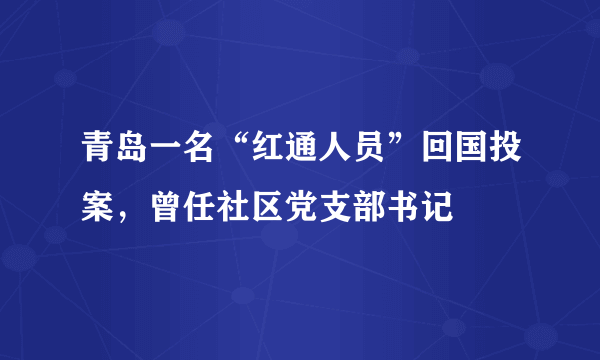 青岛一名“红通人员”回国投案，曾任社区党支部书记