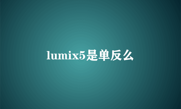 lumix5是单反么