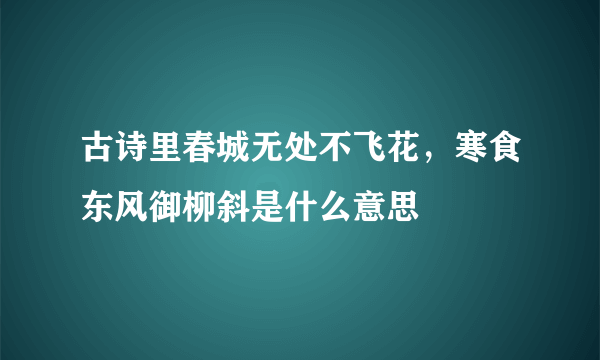 古诗里春城无处不飞花，寒食东风御柳斜是什么意思