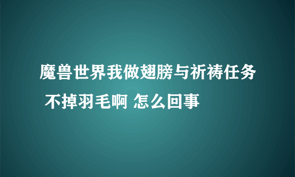 魔兽世界我做翅膀与祈祷任务 不掉羽毛啊 怎么回事