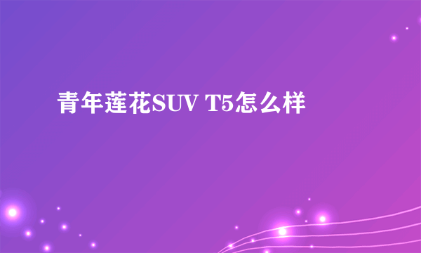 青年莲花SUV T5怎么样