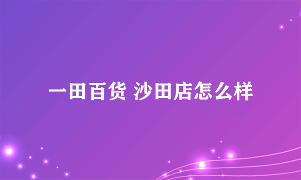 一田百货 沙田店怎么样