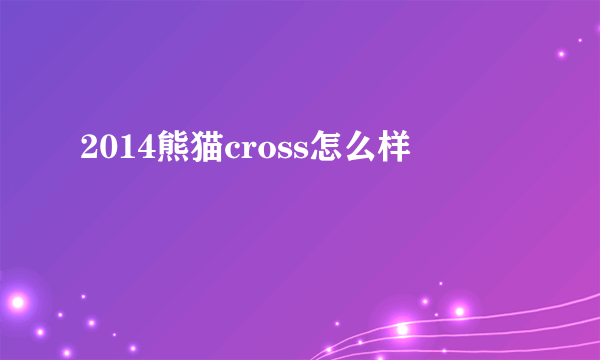 2014熊猫cross怎么样