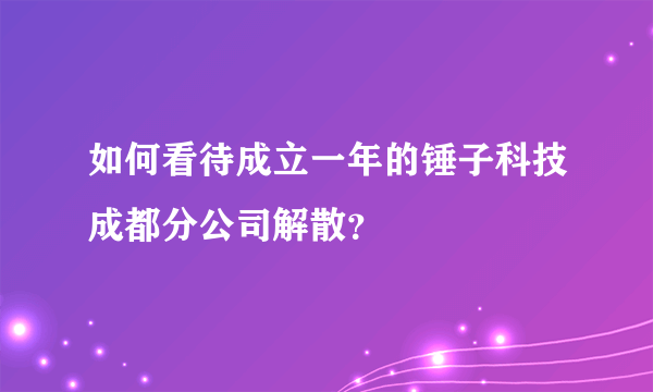 如何看待成立一年的锤子科技成都分公司解散？