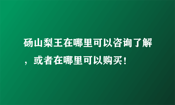 砀山梨王在哪里可以咨询了解，或者在哪里可以购买！