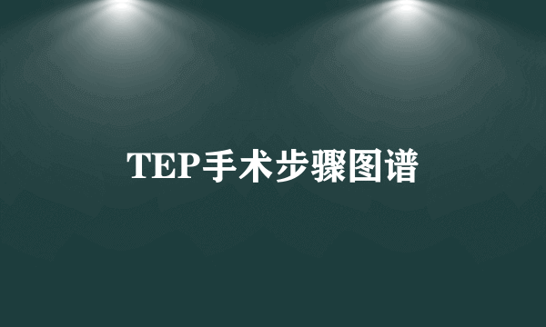 TEP手术步骤图谱