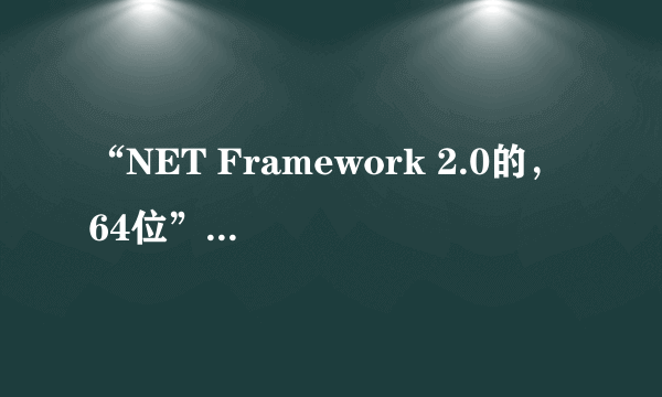 “NET Framework 2.0的， 64位”是什么意思?