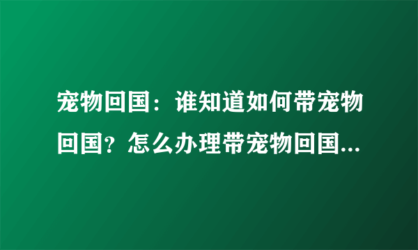 宠物回国：谁知道如何带宠物回国？怎么办理带宠物回国的手续的？