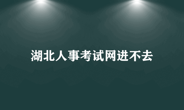 湖北人事考试网进不去