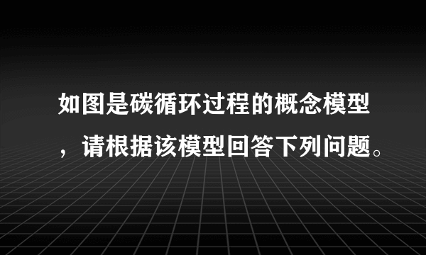 如图是碳循环过程的概念模型，请根据该模型回答下列问题。