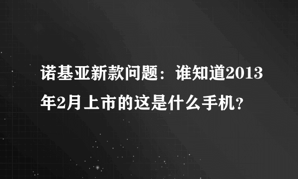 诺基亚新款问题：谁知道2013年2月上市的这是什么手机？