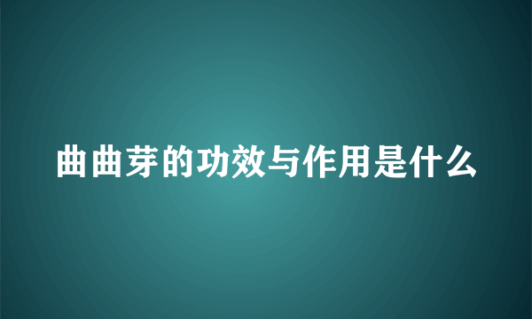 曲曲芽的功效与作用是什么