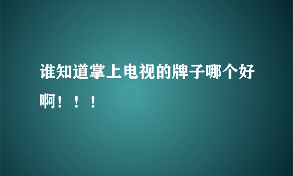 谁知道掌上电视的牌子哪个好啊！！！