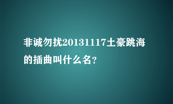 非诚勿扰20131117土豪跳海的插曲叫什么名？