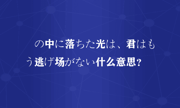 闇の中に落ちた光は、君はもう逃げ场がない什么意思？