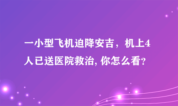 一小型飞机迫降安吉，机上4人已送医院救治, 你怎么看？