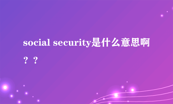 social security是什么意思啊？？