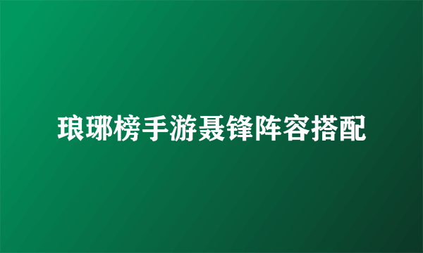 琅琊榜手游聂锋阵容搭配