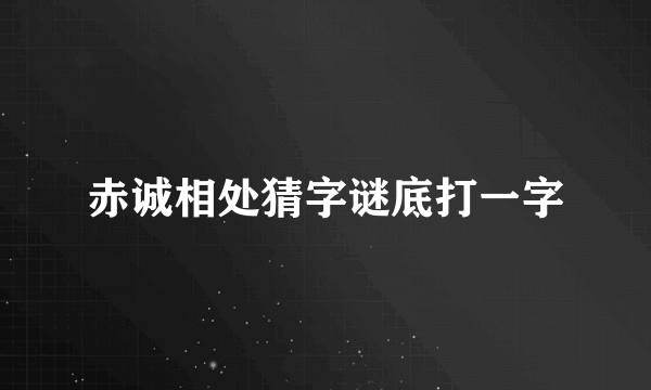 赤诚相处猜字谜底打一字