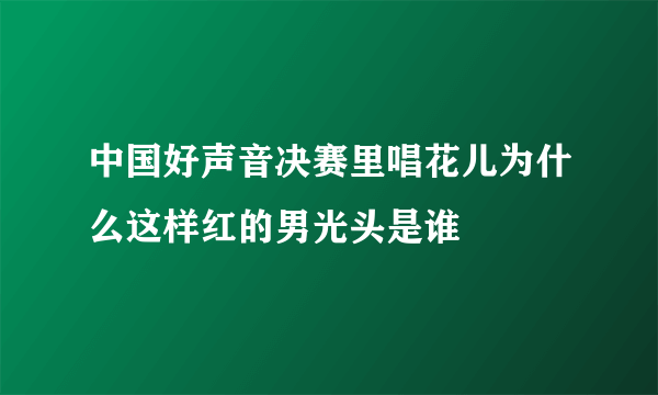 中国好声音决赛里唱花儿为什么这样红的男光头是谁