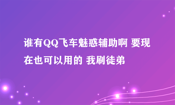 谁有QQ飞车魅惑辅助啊 要现在也可以用的 我刷徒弟