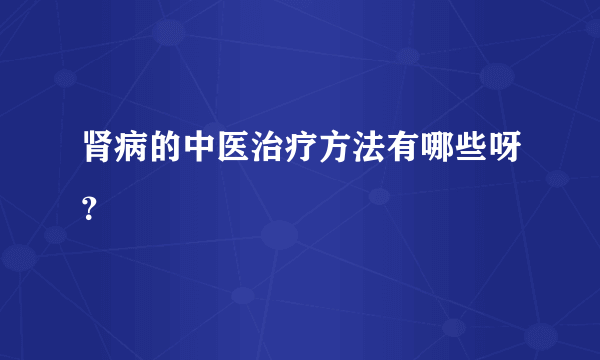 肾病的中医治疗方法有哪些呀？