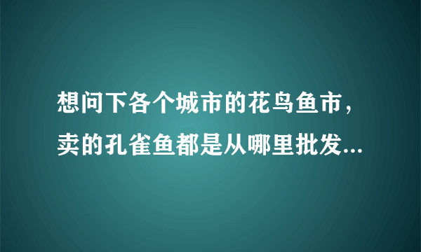 想问下各个城市的花鸟鱼市，卖的孔雀鱼都是从哪里批发的？通过什么渠道批发的？本人想养殖孔雀鱼繁殖批发？