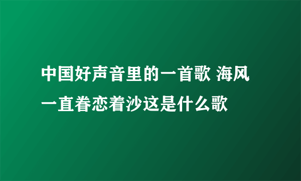 中国好声音里的一首歌 海风一直眷恋着沙这是什么歌