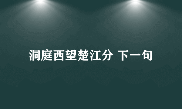 洞庭西望楚江分 下一句