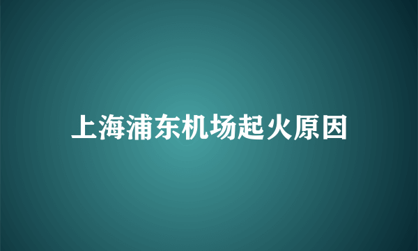 上海浦东机场起火原因