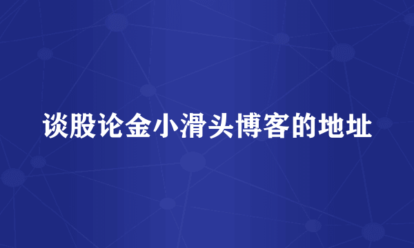 谈股论金小滑头博客的地址