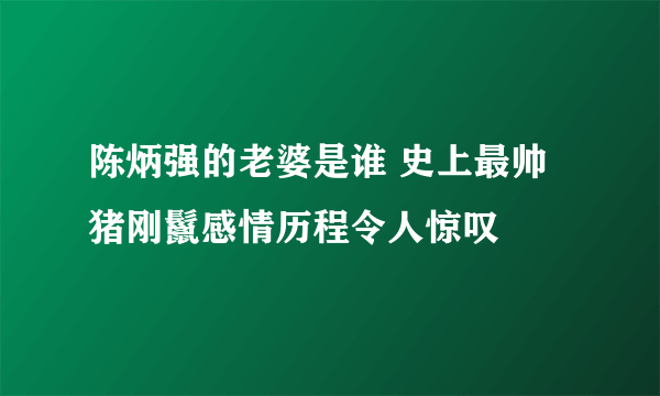 陈炳强的老婆是谁 史上最帅猪刚鬣感情历程令人惊叹