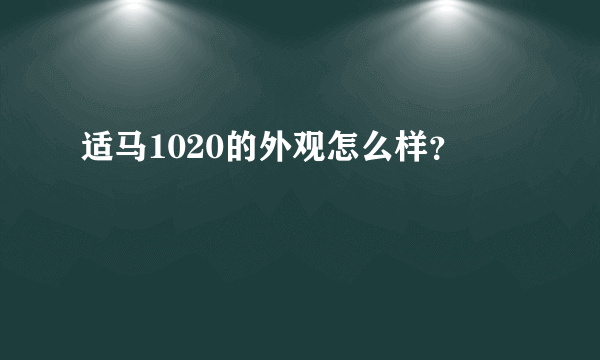 适马1020的外观怎么样？