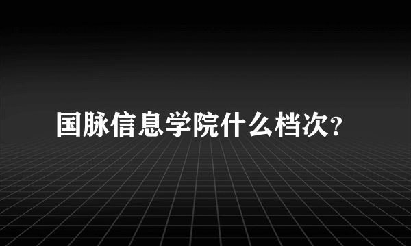 国脉信息学院什么档次？