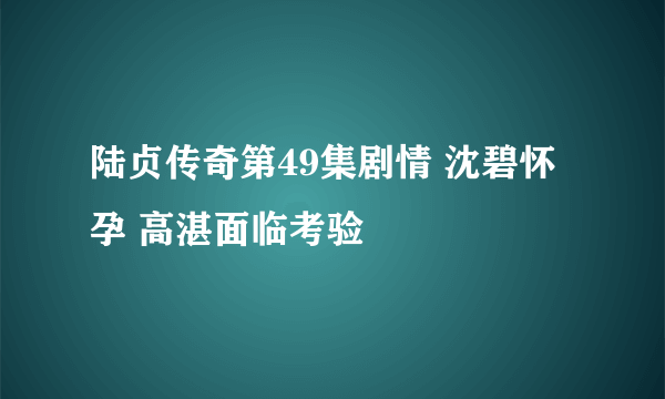 陆贞传奇第49集剧情 沈碧怀孕 高湛面临考验