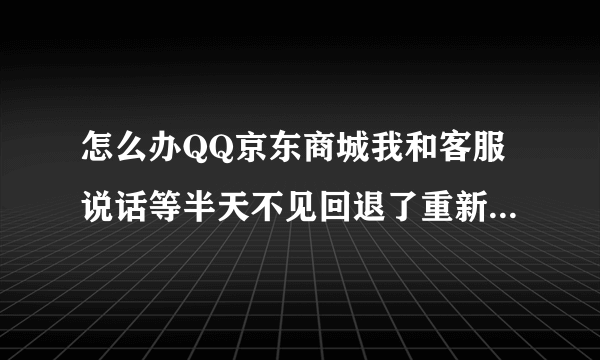 怎么办QQ京东商城我和客服说话等半天不见回退了重新打开页面发现我说的没有记录？