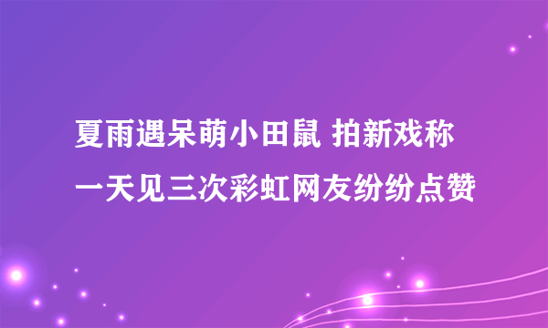 夏雨遇呆萌小田鼠 拍新戏称一天见三次彩虹网友纷纷点赞