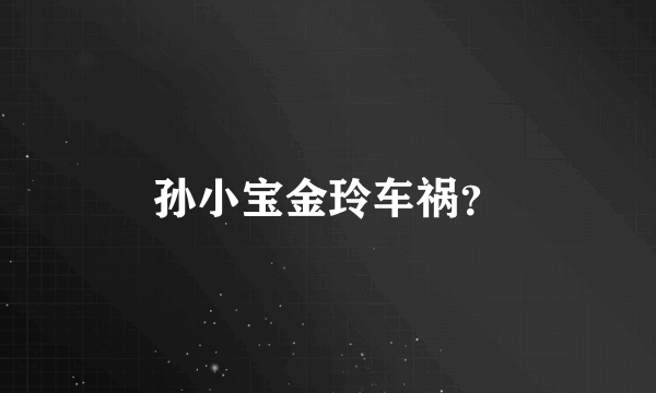 孙小宝金玲车祸？