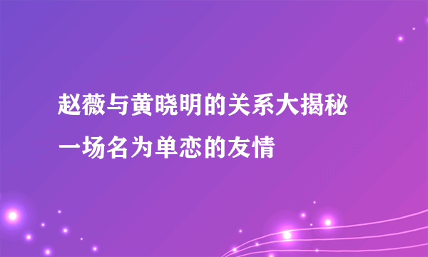 赵薇与黄晓明的关系大揭秘 一场名为单恋的友情