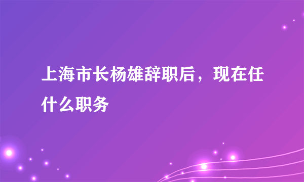 上海市长杨雄辞职后，现在任什么职务