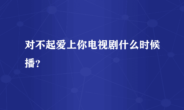 对不起爱上你电视剧什么时候播？