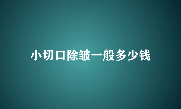 小切口除皱一般多少钱