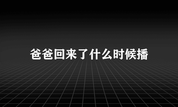 爸爸回来了什么时候播